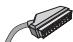 TOSHIBA REGZA AV550 DIGITAL - Cables SCART: - 1