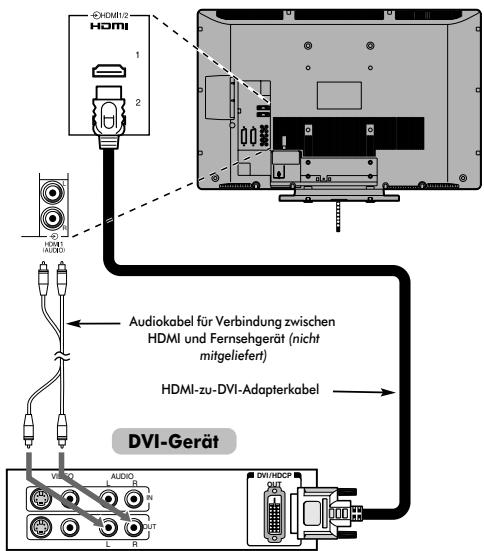 TOSHIBA REGZA AV550 DIGITAL - So schließen Sie ein DVI-Gerät an - 1