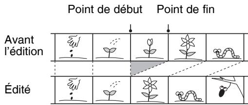 Point de début Point de fin Avant l'édition Édité