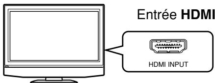 TOSHIBA HD-E 1KE - Vérifiez le type d'entrée vidéo de votre téléviseur. - 1