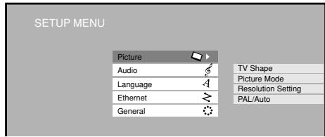 SETUP MENU Picture Audio Language Ethernet General TV Shape Picture Mode Resolution Setting PAL/Auto