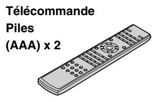 Télécommande Piles (AAA) x 2