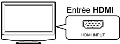 TOSHIBA HD-XE1 - Vérifiez le type d'entrée vidéo de votre téléviseur. - 1