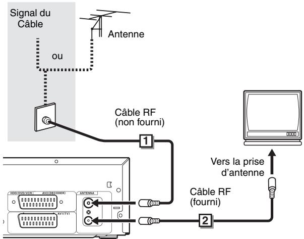 Signal du Câble ou Antenne Câble RF (non fourni) 1 Vers la prise d'antenne Câble RF (fourni) 2
