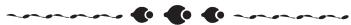 SHARP R-96ST-A - Procedimento - 1