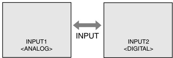 SHARP LL-193A/G - Changing between input terminals [LL-193G] - 1