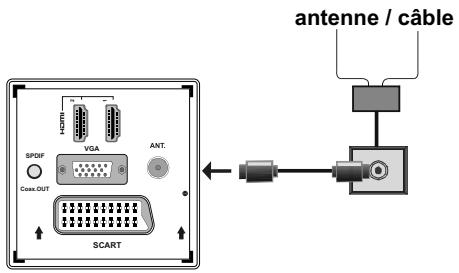 SHARP LC-24LE510E - Branchement de l'antenne - 1