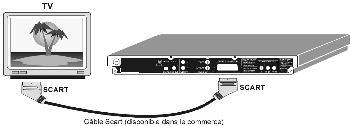 SHARP DV-SV90S(Q) - Branchement Scart: - 1
