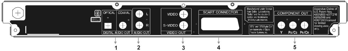 SHARP DV-SV90S(Q) - CONNEXIONS PLATINE ARRIERE - 1