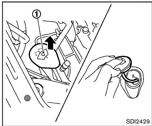 NISSAN JUKE - Liquide de lave-glace - 1