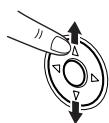 SHARP PA-VR10E - Using the Settings Menu - 2