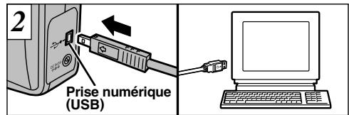 FUJIFILM 1300 ZOOM - Téléchargement des images vers un ordinateur - 2