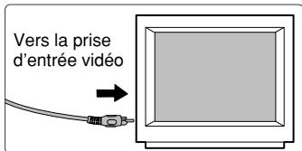 FUJIFILM S1 PRO - Lecture des images sur un téléviseur - 2