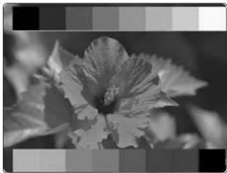 FUJIFILM S1 PRO - Affichage de la charte standard - 2