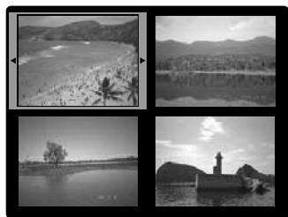 FUJIFILM S1 PRO - Lecture d'images multiples - 5