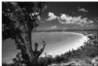 FUJIFILM S1 PRO - : Mode Paysage - 1