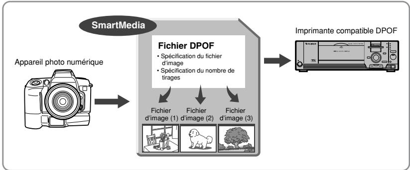 FUJIFILM S1 PRO - DPOF - 1
