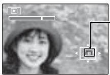 FUJIFILM Z33WP - Zoom lecture - 4