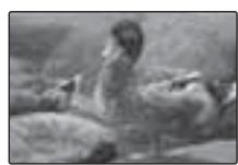 FUJIFILM Z33WP - COMPENSATION D'EXP - 1