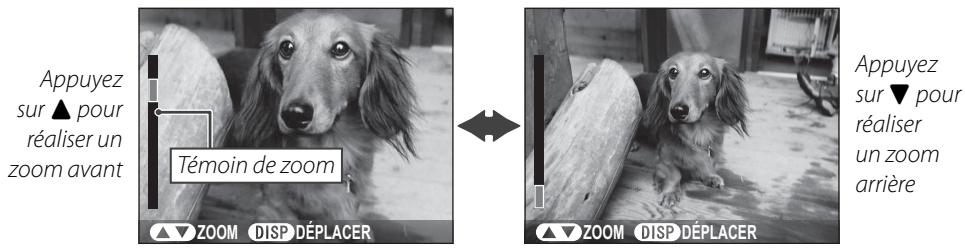 FUJIFILM REAL 3D V1 - Zoom lecture - 1