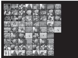 FUJIFILM REAL 3D V1 - Lecture d'images multiples - 5
