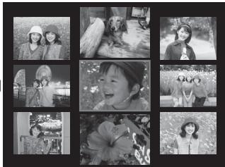 FUJIFILM REAL 3D V1 - Lecture d'images multiples - 7