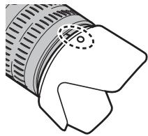 FUJIFILM FINEPIX HS30EXR - Le parasol - 2