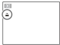 FUJIFILM FINEPIX HS30EXR - Détection des visages - 2