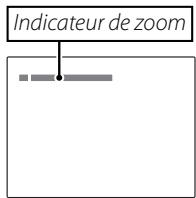 FUJIFILM FINEPIX HS30EXR - Cadrez la photo. - 2