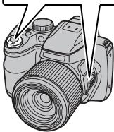 FUJIFILM FINEPIX S8300 - Cadrez la photo. - 2