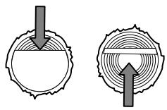 HUSQVARNA 321 EL - CORTE TRANSVERSAL - 10