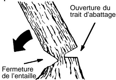 HUSQVARNA 136 - COMMENT FAIRE L'ENTAILLE ET ABATTRE L'ARBRE - 2