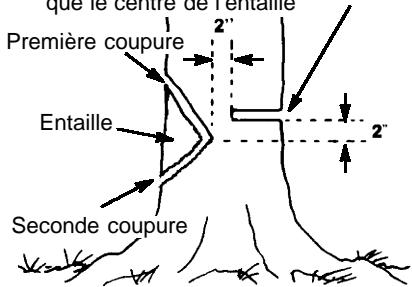 HUSQVARNA 136 - COMMENT FAIRE L'ENTAILLE ET ABATTRE L'ARBRE - 1