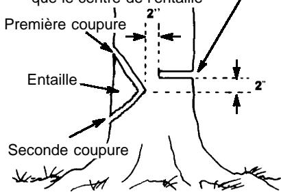HUSQVARNA 141 - COMMENT FAIRE L'ENTAILLE ET ABATTRE L'ARBRE - 1