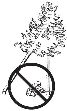 HUSQVARNA 570 575 XP - Récupération d'un arbre accroché - 1