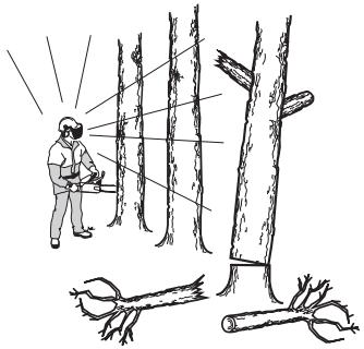 HUSQVARNA 570 575 XP - Règles élémentaires de sécurité - 1