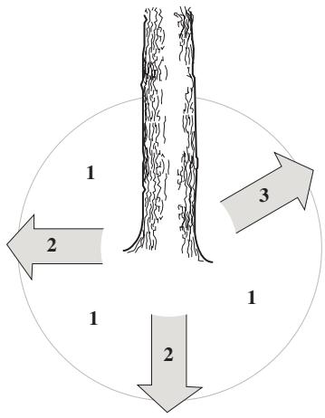 HUSQVARNA 570 575 XP - Émondage des branches basses et voie de retraite - 2