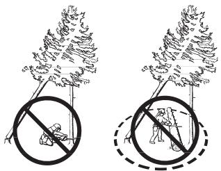 HUSQVARNA 576 XP - Récapération d'un arbre accroché - 1