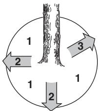 HUSQVARNA 562 XP - Enfernen von Åsten im unteren Stammbereich und Rückzugsweg - 2