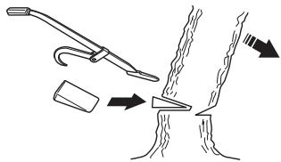 HUSQVARNA 562 XP - Fällschnitt - 5