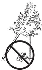 HUSQVARNA 562 XPG - "Vastgeraakte boom" omlaag halen - 1