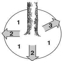 HUSQVARNA 562 XPG - Émondage des branches basses et voie de retraite - 2