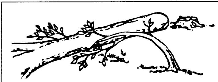 HUSQVARNA ELECTRIC 1400 - Règles élémentaires de sécurité - 2