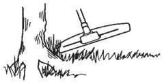 HUSQVARNA 129R - Clearing - 1