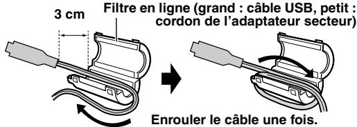 3 cm Filtre en ligne (grand : câble USB, petit : cordon de l'adaptateur secteur) Enrouler le câble une fois.