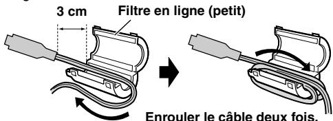 3 cm Filtre en ligne (petit) Enrouler le câble deux fois.