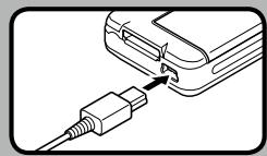 OLYMPUS DS'5500 - Remarque - 2
