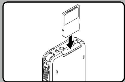 OLYMPUS DS'5500 - Insertion d'une SD carte - 1
