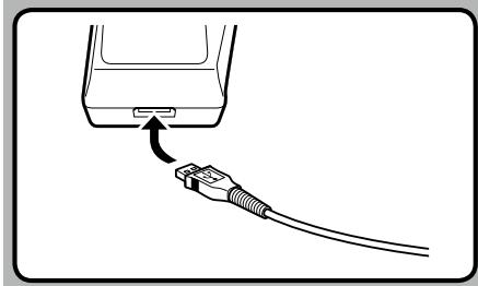 OLYMPUS DS'5500 - Chargement des batteries directement avec le câble USB - 3