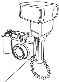 OLYMPUS C-3030 ZOOM - Soll nur mit Zusatzblitz FL-40 geblitzt werden: - 1